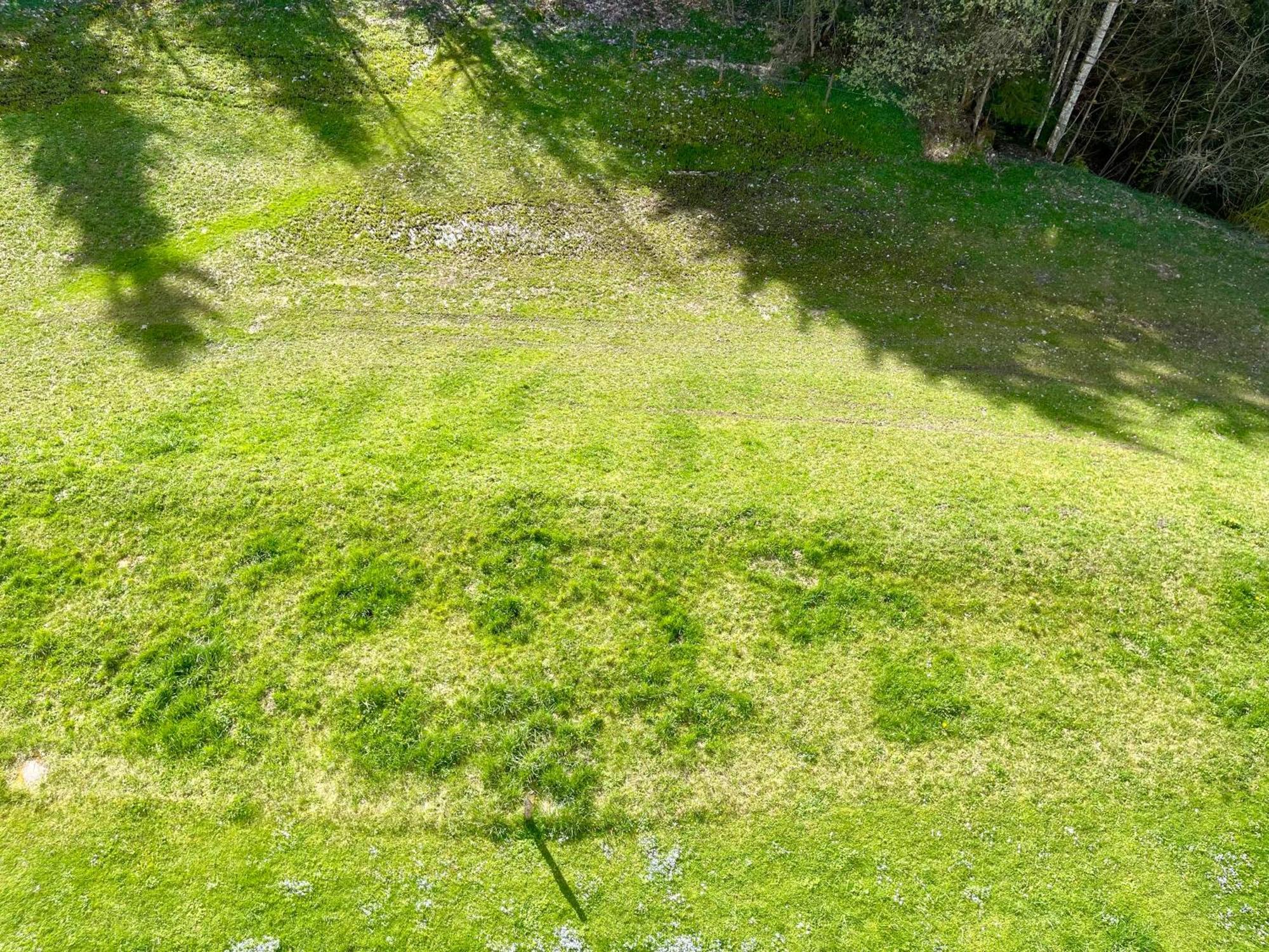 Apartment Berghof Ellmau Zewnętrze zdjęcie